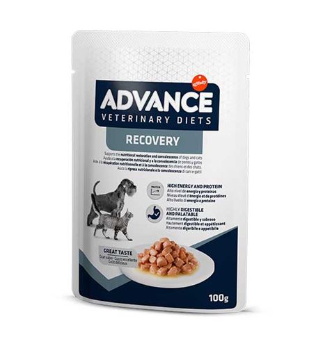 Advance Veterinary Diets Recovery sobre en salsa para perros y gatos Advance Veterinary Diets Recovery sobre en salsa para perros y gatos