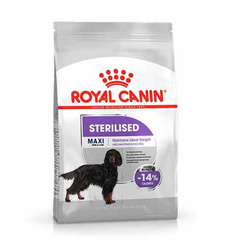 Royal Canin Maxi Sterilised pienso para perros Royal Canin Maxi Sterilised pienso para perros