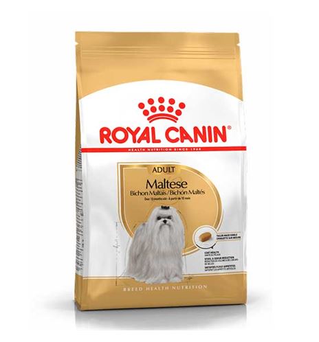 Royal Canin Bichón Maltés Adult pienso para perros