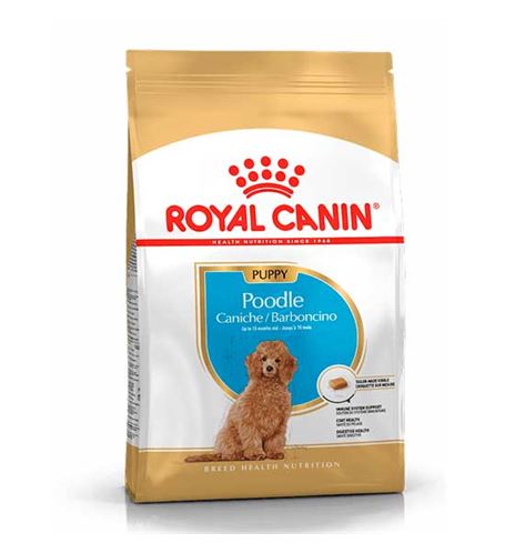 Royal Canin Caniche Puppy pienso para perros Royal Canin Caniche Puppy pienso para perros