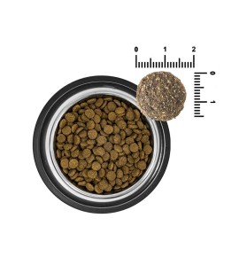 Wild Side Nomad Wings Codorniz pienso para perros - Croquetas