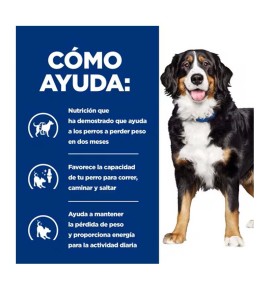 Hill's Prescription Diet Metabolic + Mobility j/d pienso para perros - Cómo ayuda