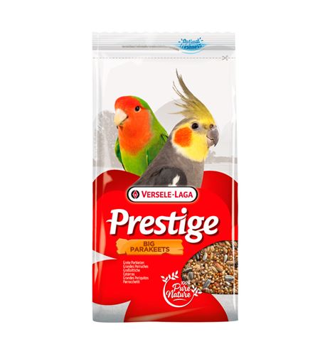 Versele Laga Prestige pienso para agapornis y cotorras Versele Laga Prestige pienso para agapornis y cotorras