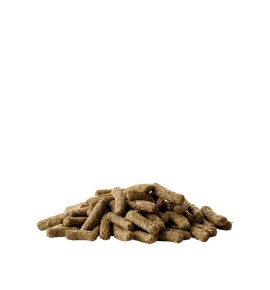 Versele Laga Complete pienso para chinchillas y degús - Pellets