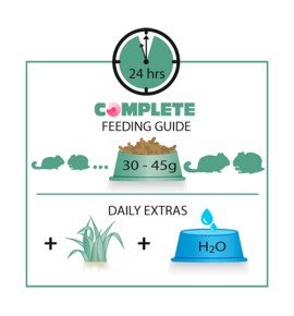 Versele Laga Complete pienso para chinchillas y degús - Guía de alimentación