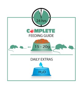 Versele Laga Complete pienso para ratas y ratones - Guía de alimentación