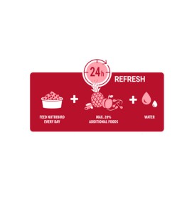 Versele Laga NutriBird B14 pienso para periquitos - Guía de alimentación