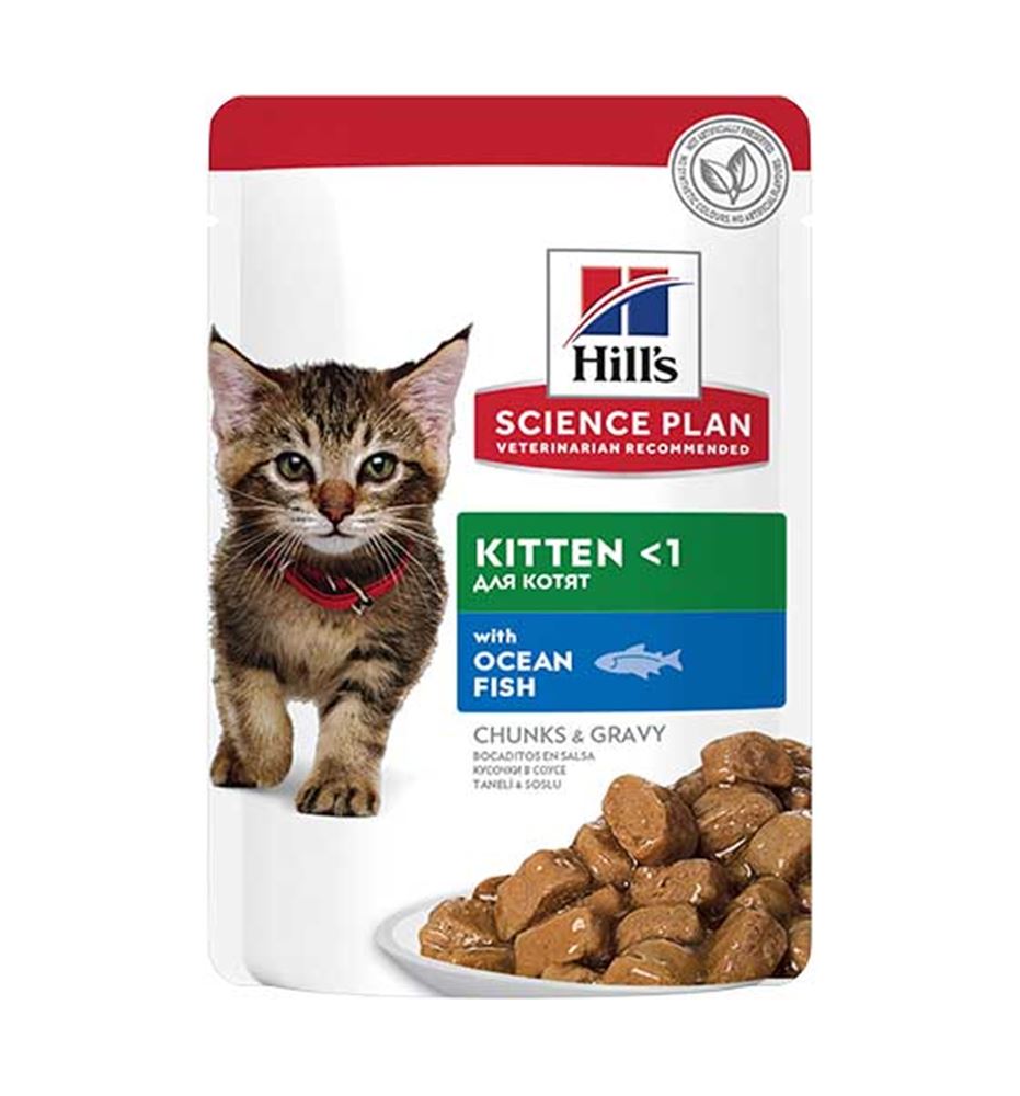 Hill's Science Plan Kitten Pescado Azul sobre para gatos
