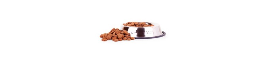 Comida y piensos para perro al mejor precio
