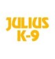 Julius