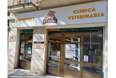 Reservanimal Palencia